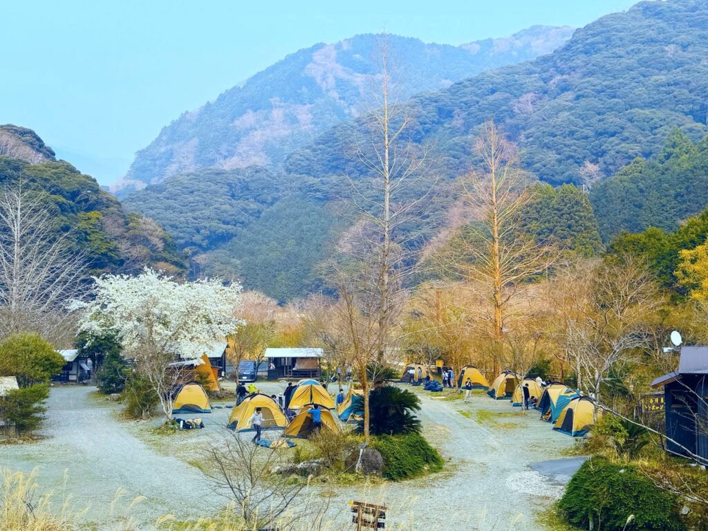 キャンプ　合宿