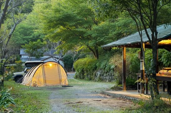 木立に囲まれた段差構造が特徴のMTサイト（初夏）